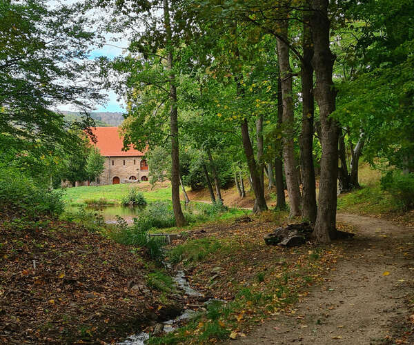 Blick zum Kloster Ilsenburg (Foto: Stadt Ilsenburg (Harz))